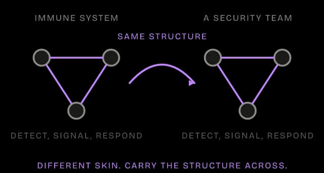 Diagram of the Analogy mental model