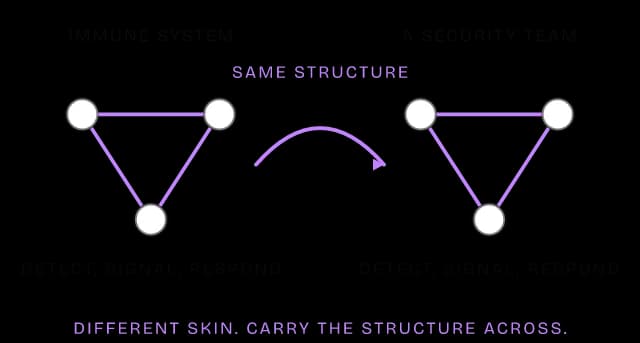 Diagram of the Analogy mental model